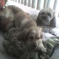 DESCANSANDO